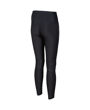 Imagen de ARENA WOMEN'S TEAM LONG TIGHT PANEL - BLACK + 004897-500